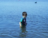 or02.jpg (8270 bytes)